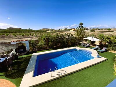 VIP8160: Villa te koop in Antas, Almería