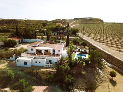 VIP8160: Villa zu Verkaufen in Antas, Almería