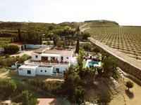 VIP8160: Villa à vendre dans Antas, Almería